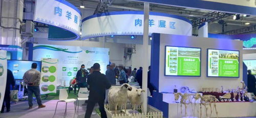 第八屆內蒙古綠色農畜產品博覽會暨優良品種推廣會 創新服務模式，擘畫綠色發展新藍圖